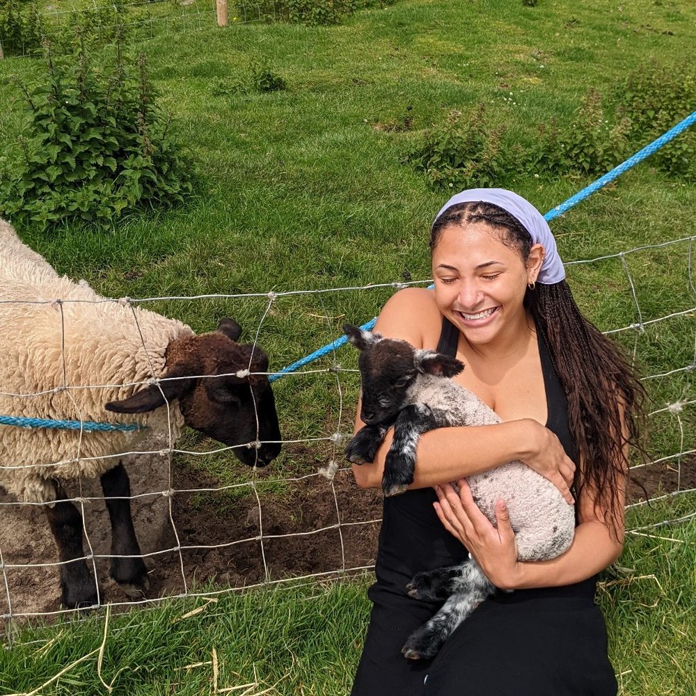 Meet your Posher, Maya